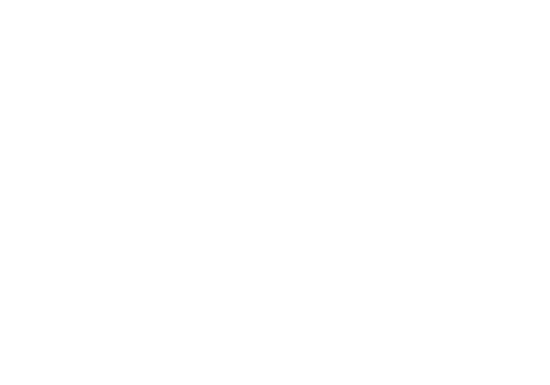 Audince-Award